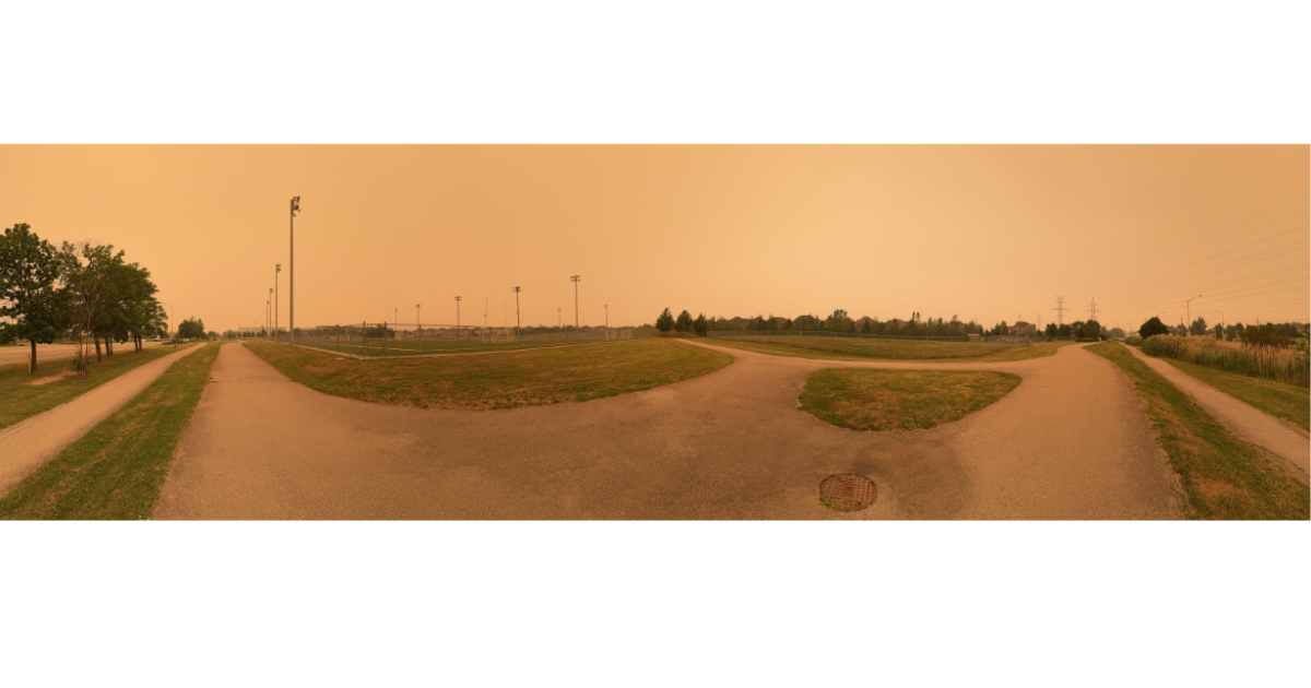 Forest Fires
